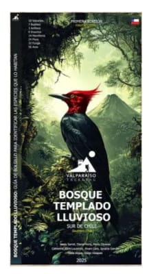 DESPLEGABLE-BOSQUE TEMPLADO LLUVIOSO-VALPARAISO TREKKING