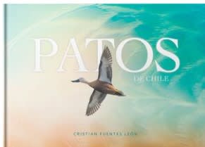 PATOS DE CHILE TD-MANDIOLA