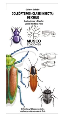 DESPLEGABLE COLEOPTEROS-CLASE INSECTA DE CHILE-CAROLA LOHIDOY1