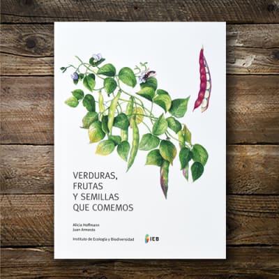 VERDURAS FRUTAS Y SEMILLAS QUE COMEMOS-DISEÑO SOSTENIBLE