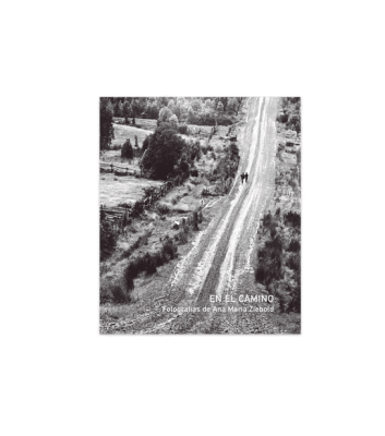 EN EL CAMINO-EDICIONES PURO CHILE