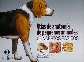 ANATOMIA EN PEQUEÑOS ANIMALES TD LEXUS