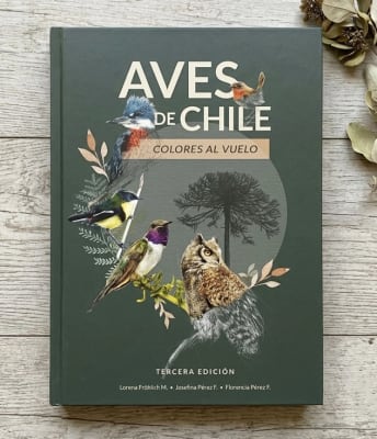 AVES DE CHILE COLORES AL VUELO TD-BOSQUE CHILENO