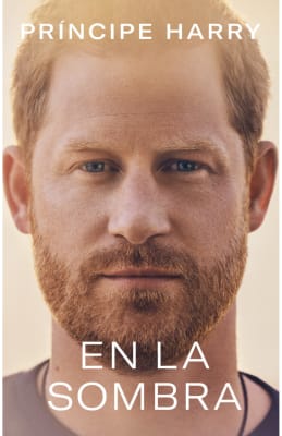 EN LA SOMBRA-PLAZA JANES1