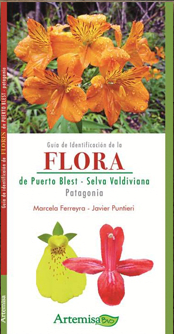 FLORA DE PUERTO BLEST-SELVA VALDIVIANA-ARTEMISA ZIG-ZAG