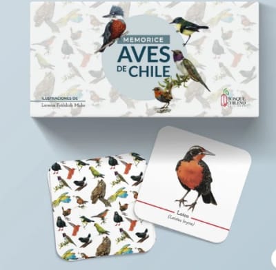 MEMORICE AVES DE CHILE-BOSQUE CHILENO1