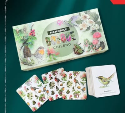 MEMORICE BOSQUE CHILE-BOSQUE CHILENO1