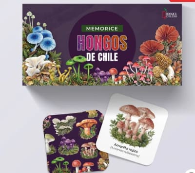 MEMORICE HONGOS DE CHILE-BOSQUE CHILENO