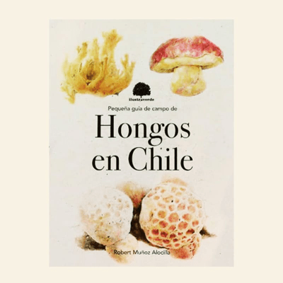 PEQUEÑA GUIA DE HONGOS DE CHILE - ILUSTRAYERDE - MANDIOLA