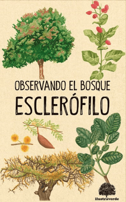 OBSERVANDO EL BOSQUE ESCLEROFILO-ILUSTRAVERDE