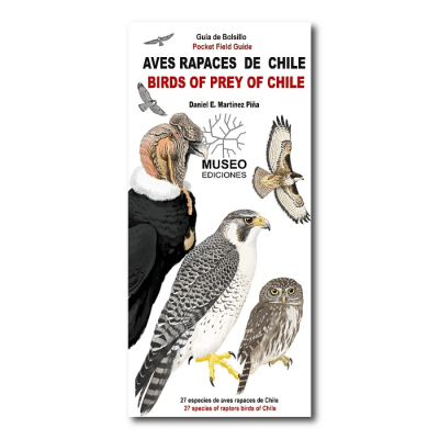 AVES RAPACES DE CHILE DESPLEGABLE-MUSEO EDICIONES