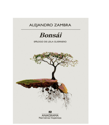 BONSAI-ANAGRAMA