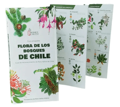 FLORA DE LOS BOSQUES DE CHILE-GUIA DESPLEGABLE