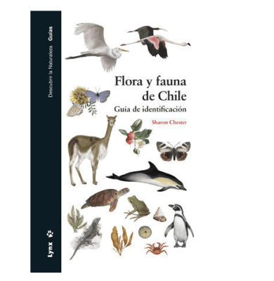 FLORA Y FAUNA DE CHILE-GUIA-LYNX-MANDIOLA