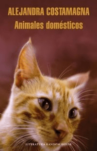 ANIMALES DOMESTICOS-PENGUIN
