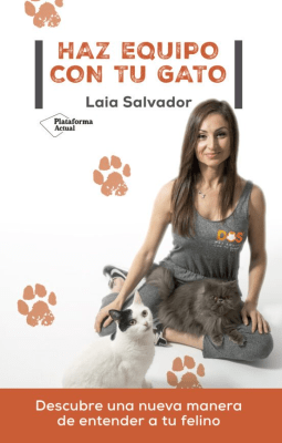 HAZ EQUIPO CON TU GATO-PLATAFORMA ACTUAL ZIG-ZAG