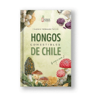 HONGOS COMESTIBLES DE CHILE-BOSQUE CHILENO