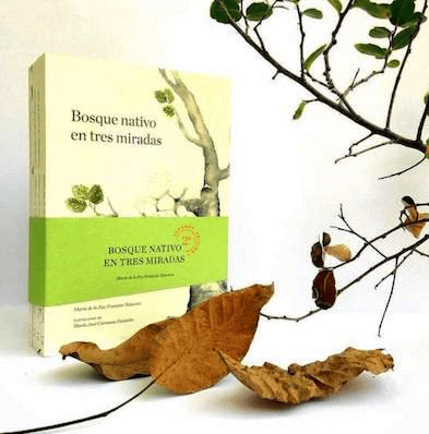 BOSQUE NATIVO EN TRES MIRADAS-MANDIOLA