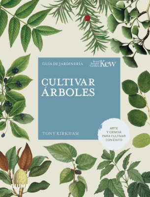 CULTIVAR ARBOLES TD-BLUME CONTRAPUNTO