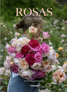 ROSAS TD-CATAPULTA PENGUIN