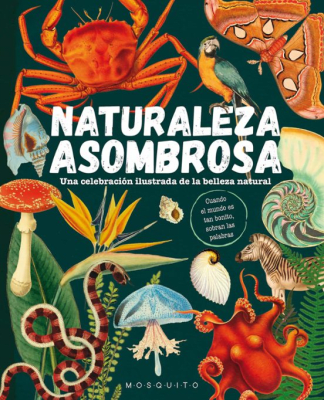 NATURALEZA ASOMBROSA TD-MOSQUITO LIBERALIA