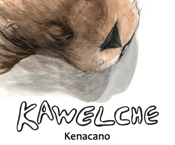 KAWELCHE LIBRO ALBUM