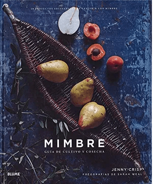 MIMBRE-BLUME CONTRAPUNTO