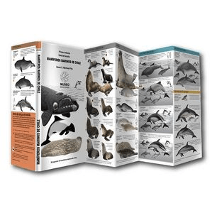 MAMIFEROS MARINOS DE CHILE- DESPLEGABLES- MUSEO ED. SPA1