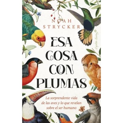 ESA COSA CON PLUMAS-CAPITAN SWING CATALONIA