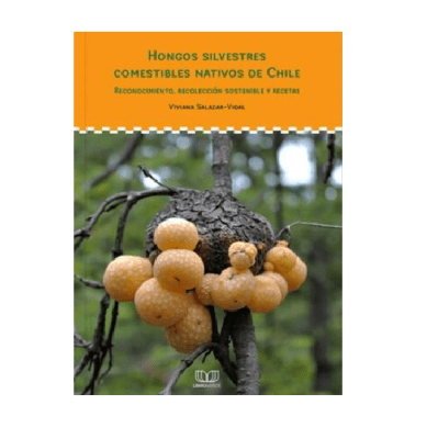 HONGOS SILVESTRES COMESTIBLES NATIVOS DE CHILE-DISEÑO SOSTENIBLE