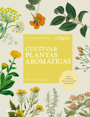 CULTIVAR PLANTAS AROMATICAS TD-BLUME CONTRAPUNTO