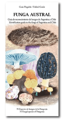 FUNGA AUSTRAL GUIA DE RECONOCIMIENTO-MANDIOLA1