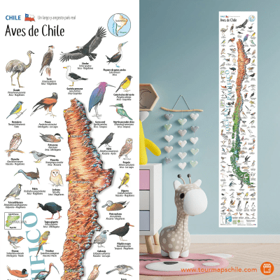 MAPA ILUSTRADO AVES DE CHILE-TRAVEL BOOKS