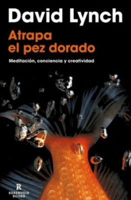 ATRAPA EL PEZ DORADO - RESERVOIR BOOKS - PENGUIN RANDOM