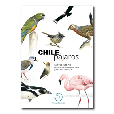 CHILE PAJAROS-PLANETA SOSTENIBLE MANDIOLA