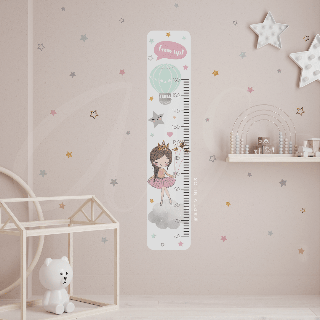 Medidor Princess1