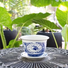 Porcelana Ming 20x14