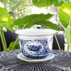 Porcelana Ming 30X19