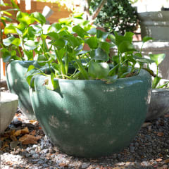 Fuente Porcelana Ming 55x35cm 0