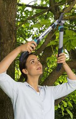 Cortarramas EasyCut 500 B2