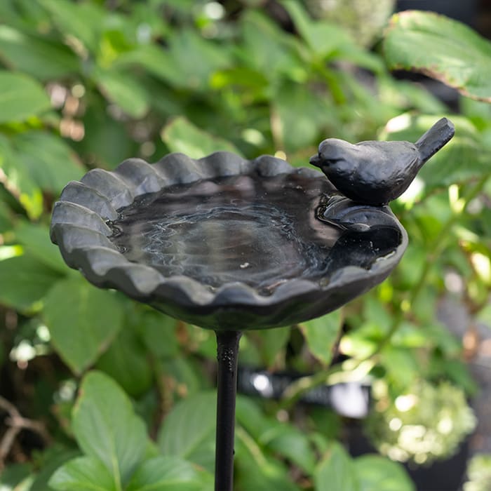 Bebedero Estaca Concha1