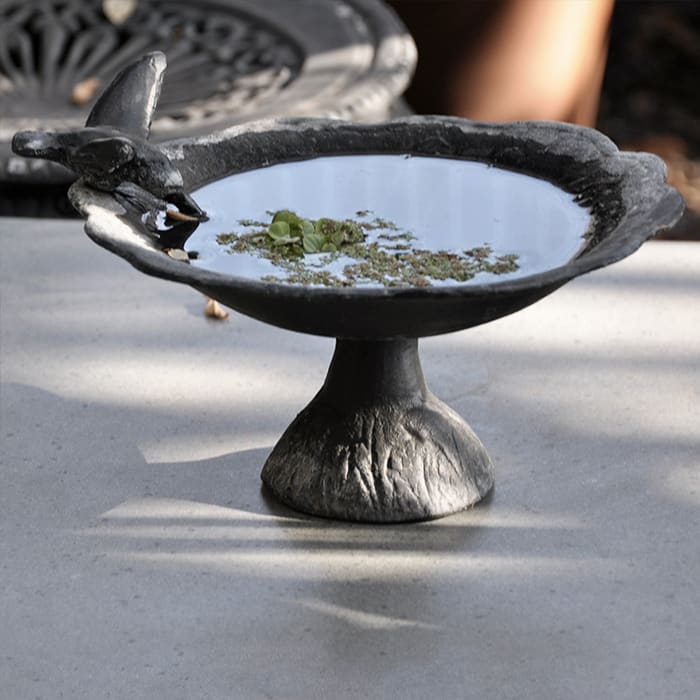 Bebedero Pájaro Sobremesa 21