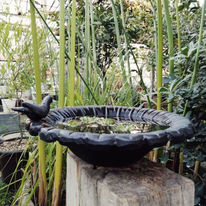 Bebedero Pájaro Sobremesa1