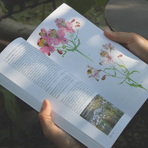 Cuando el Desierto Florece1