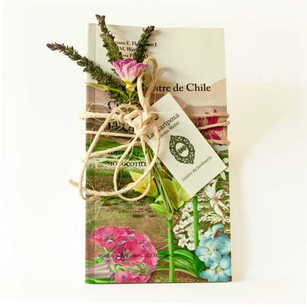 Cuando el Desierto Florece2