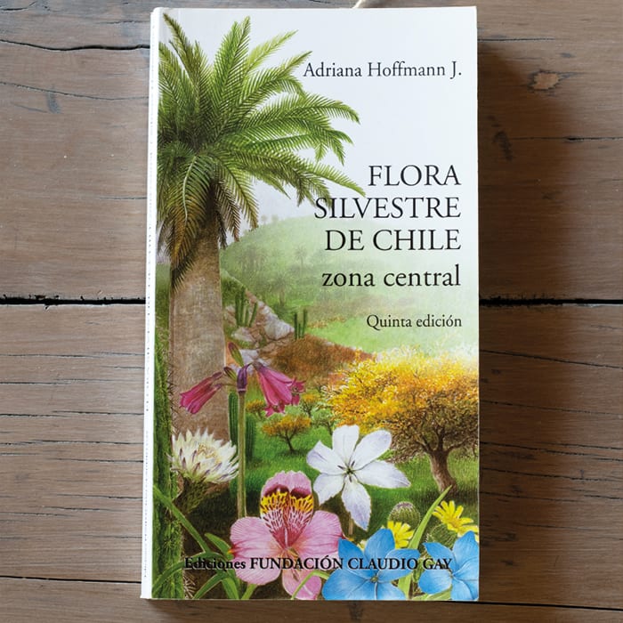 Flora Silvestre Chile Zona Central1