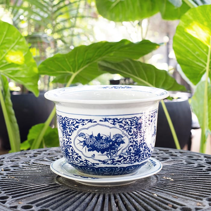 Porcelana Ming 30X191