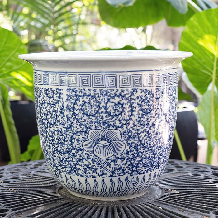 Porcelana Ming 32x221