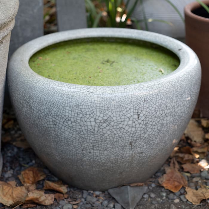 Fuente Porcelana Ming 55x35cm3