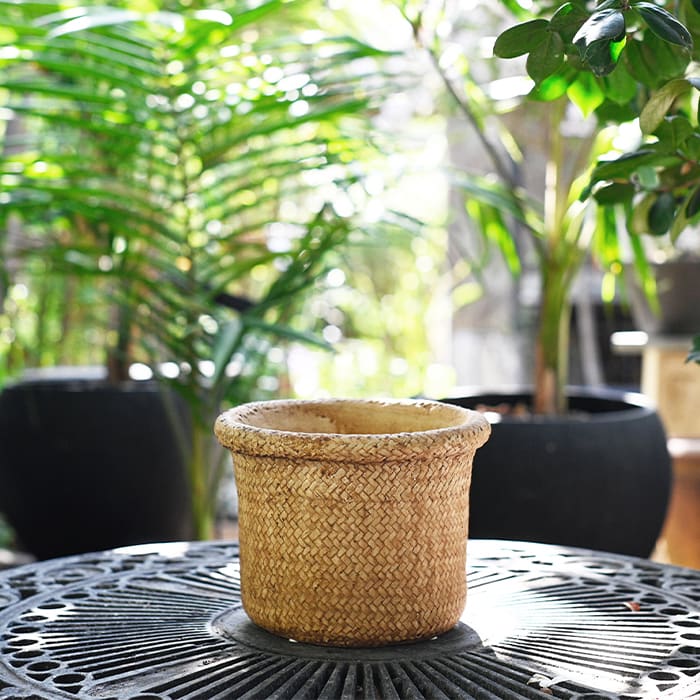 Macetero Fibra Café 22x171